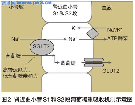 СS1S2ջʾͼ