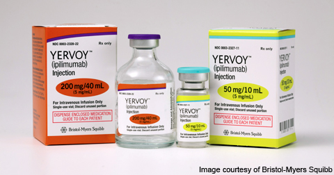 YERVOY(ipilimumab)